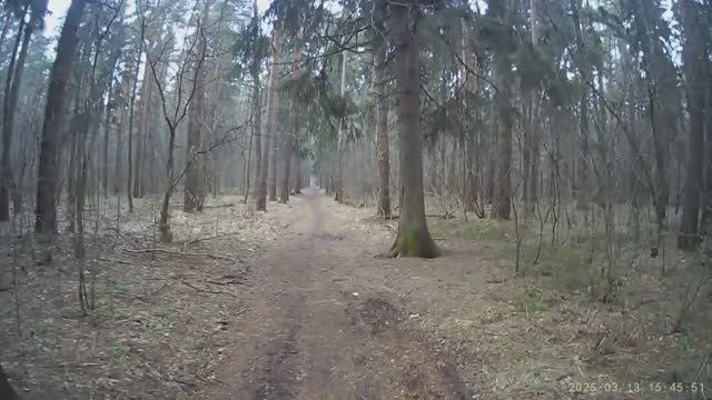 Заключительная часть похода по Кузьминскому парку.