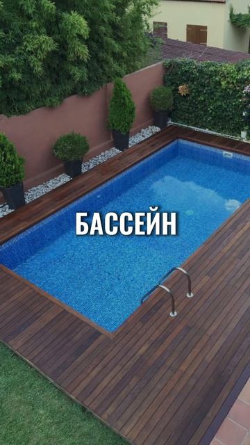 Люди 35+ дуреют с этой прикормки