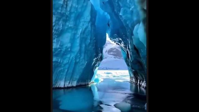 # мудрые мысли #