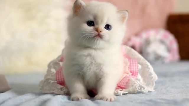 17 марта 2023 г.