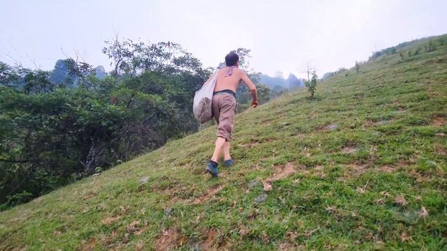 Khám phá ngọn núi cao nhất ở Lục Yên, Yên Bái. #camping #nature #lucyen #yenbai #Bướcchândumục