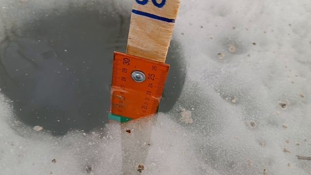 Лëд отличный! 14.03.25. РК Фишка Липки.