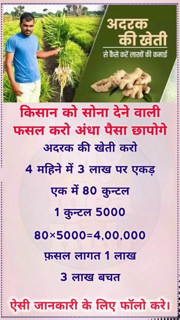 #किसान भाइयों #अदरक की खेती करो मालामाल हो जाओगे #बिजनेस  Best #Business idea 4 #Farmer #shorts