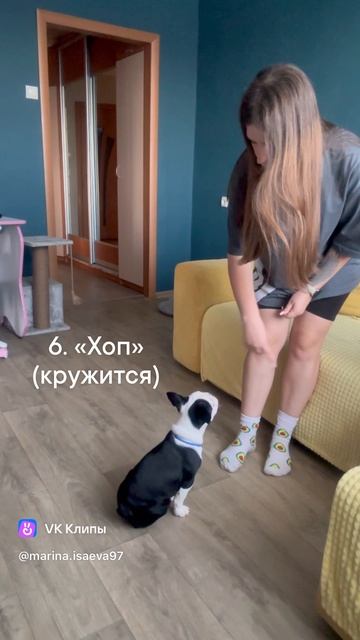 4051D71B-2994-4D9D-98FE-84F0C03C6BDD