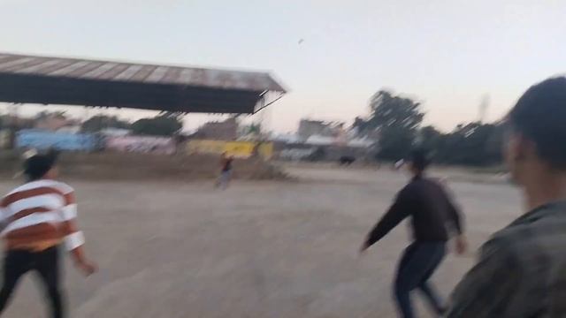 Gau seva vlogs Galla Mandi Morena Daily Personal vlogs cricket play Desi