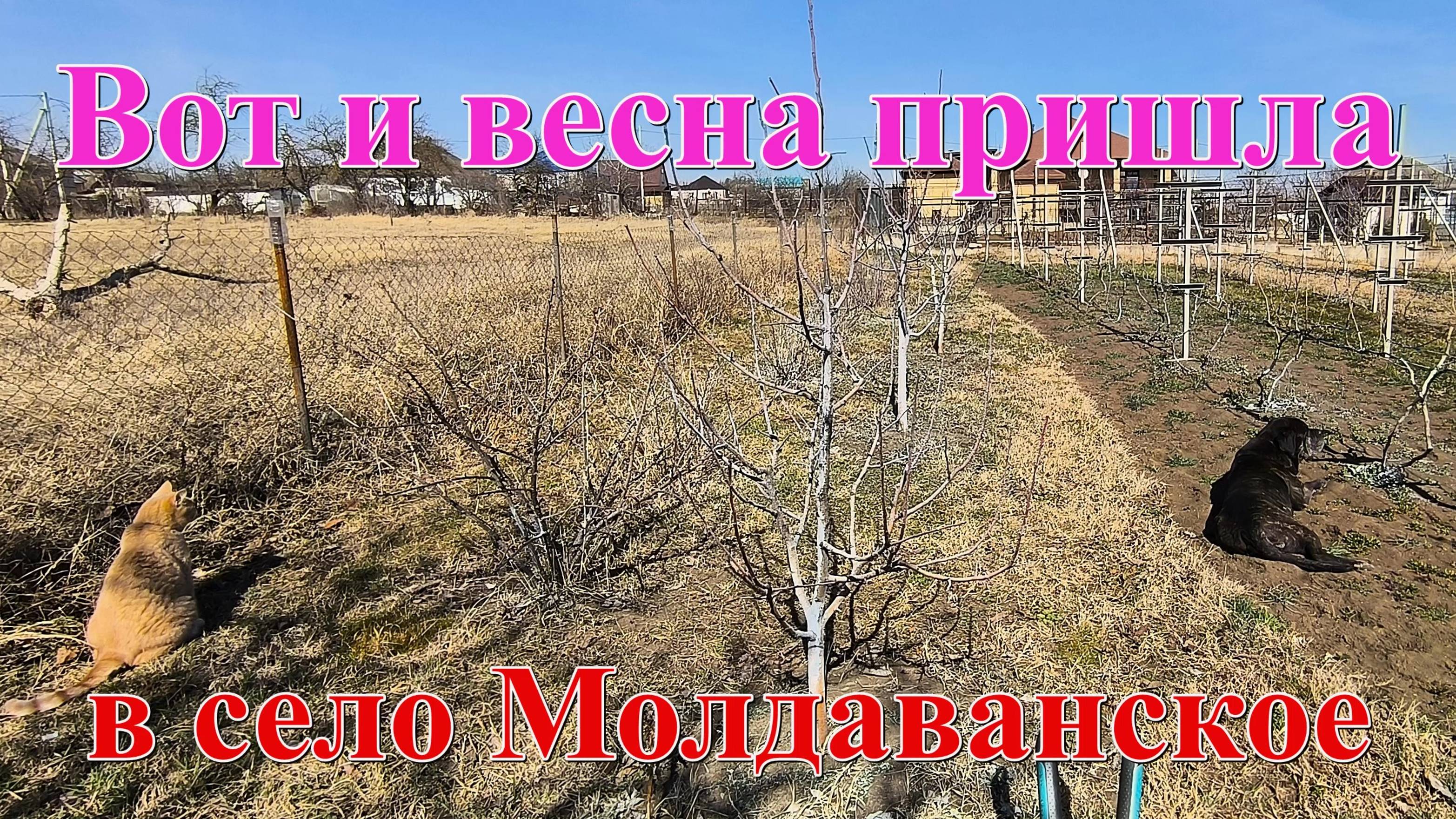 #378 Весна 2025 года пришла в село Молдаванское
