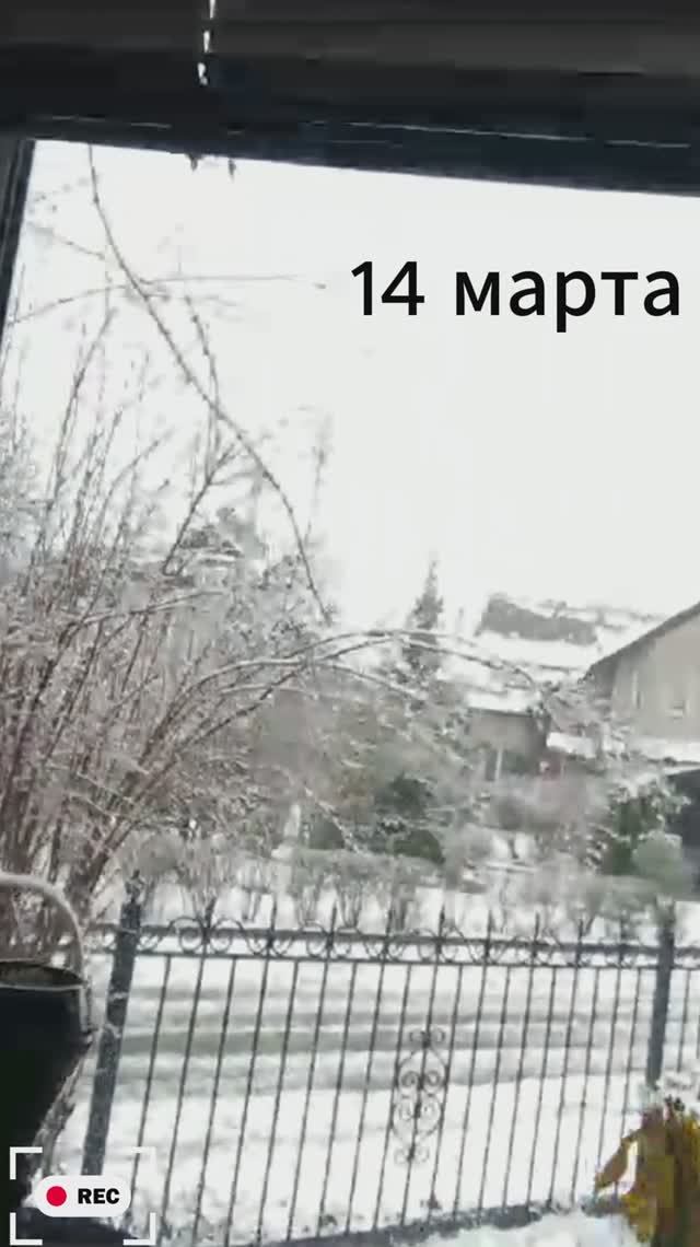 что происходит на улице 0_0