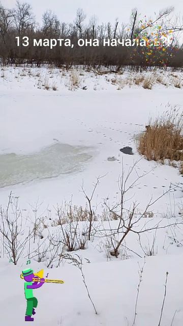 13 марта, она началась!