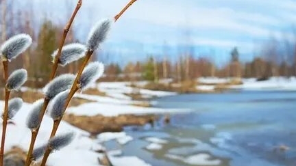14.03. Овсень Малый. Авдотья. День мимозы. День рек.