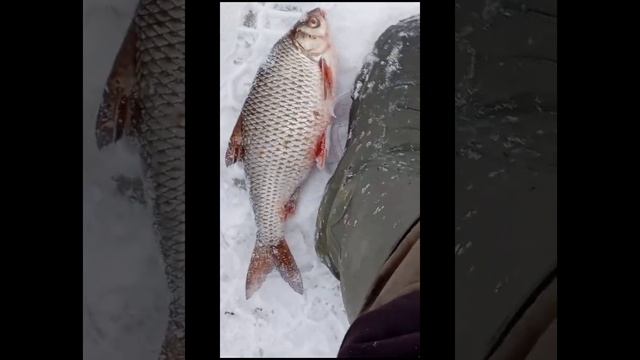 Мечеть Джамг