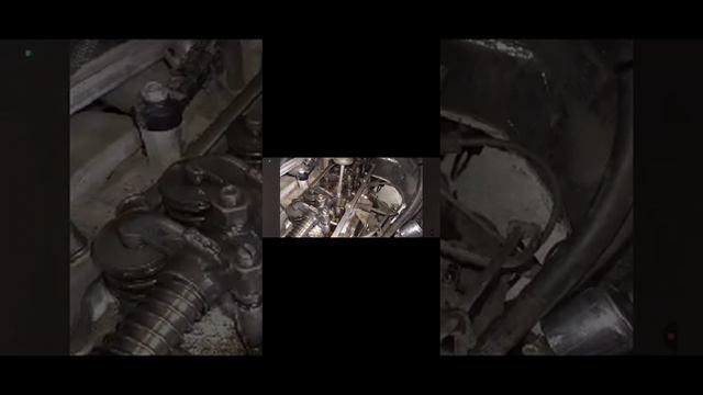 1000007879.mp4