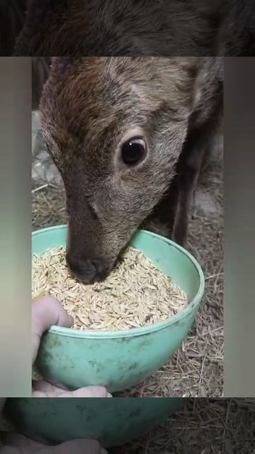 1000173050.mp4