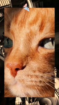 Каков Красавец 😘😘😘