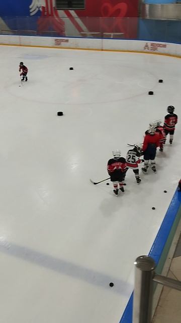 хоккей