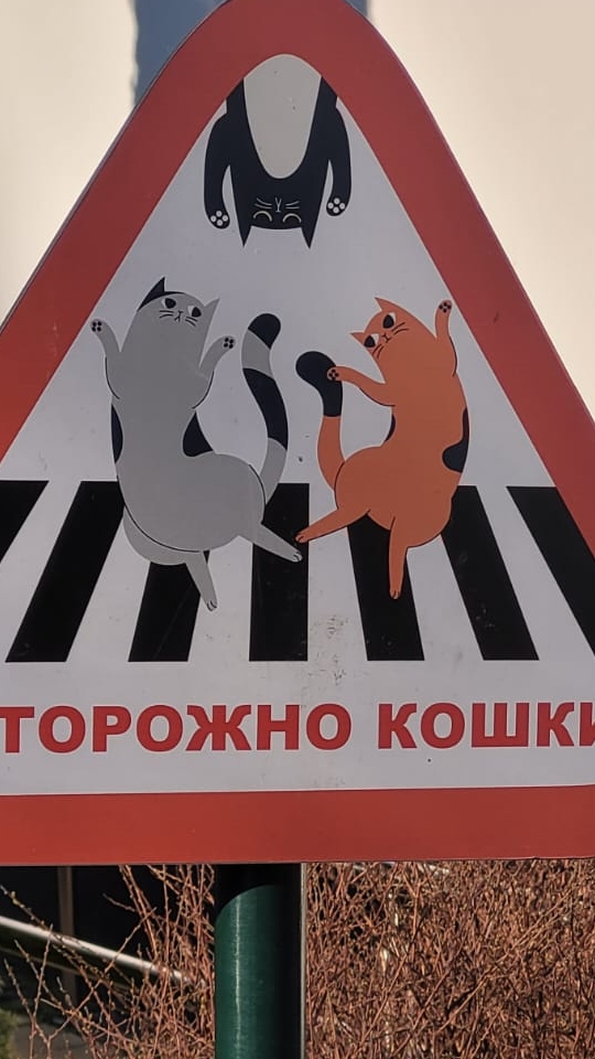 Что в голове СНЕЖИ
