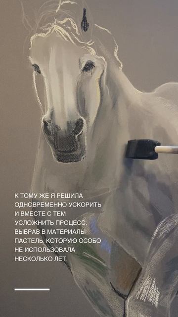 Этюд пастелью | Лошадь породы першерон