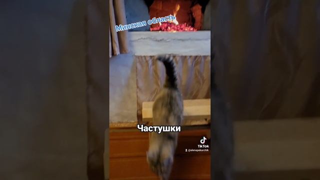 Частушки