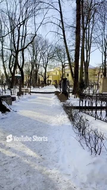 Тихвинское кладбище Петербурга #shorts #like #питер #история #обзор #путешествия #туризм #подпишись
