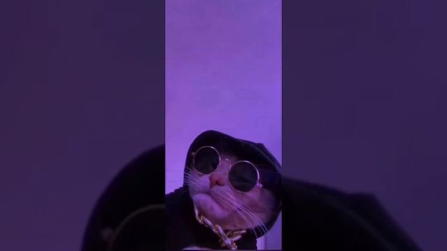 Don Toliver-cardigan(1 hour)