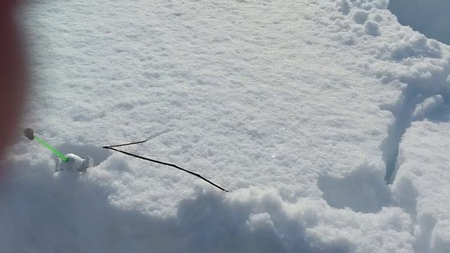 1000029006.mp4