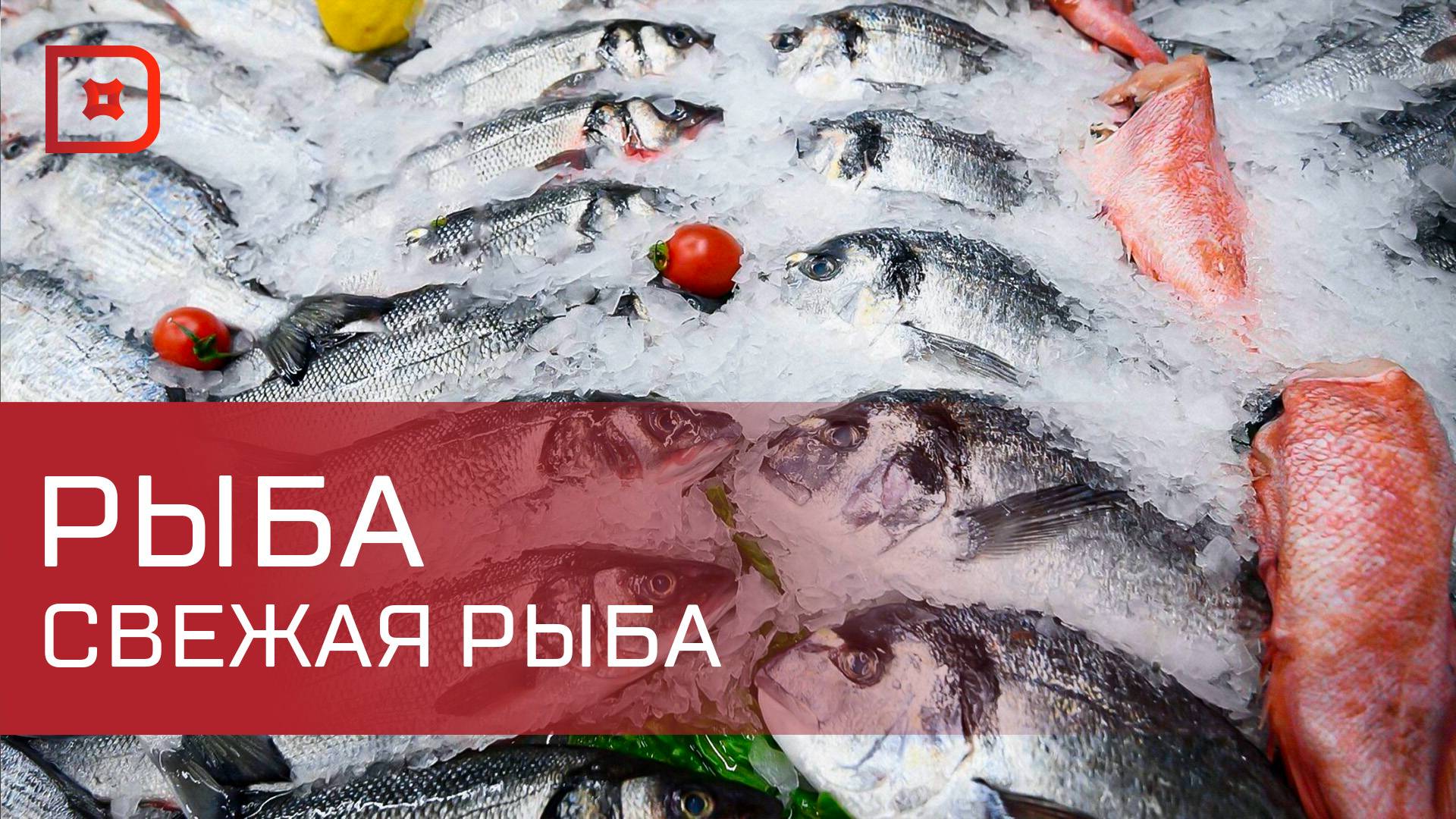 В Махачкале пройдет рыбная ярмарка