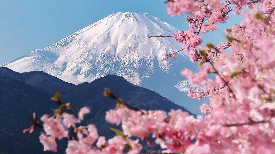 Fuji