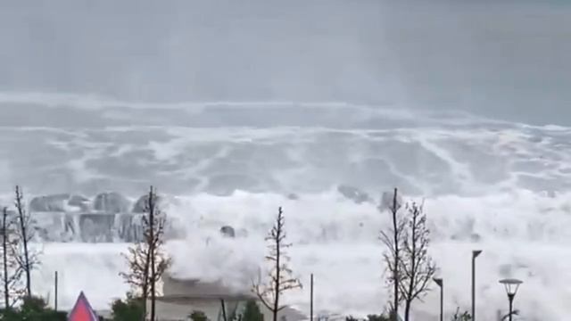 туманы.mp4