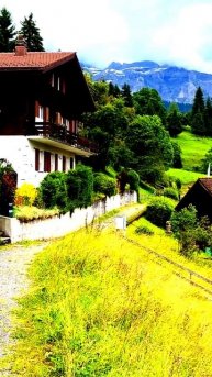 Камера не оставляет следов