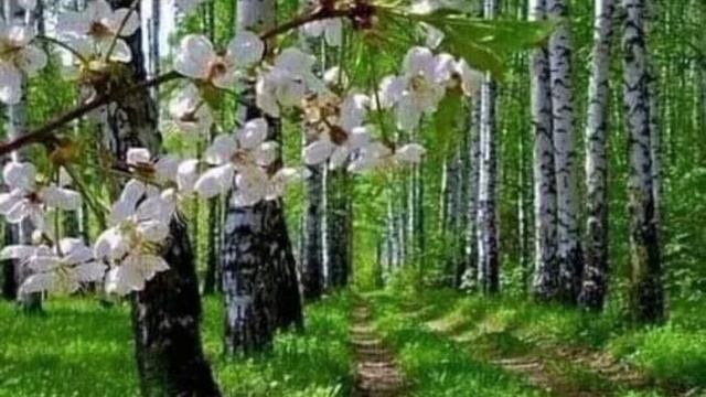 А.ГРЕЧКИН-Любовь ветер.mp4
