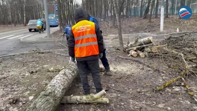 Улицы Москвы под натиском стихии: коммунальщики восстанавливают порядок после сильного ветра