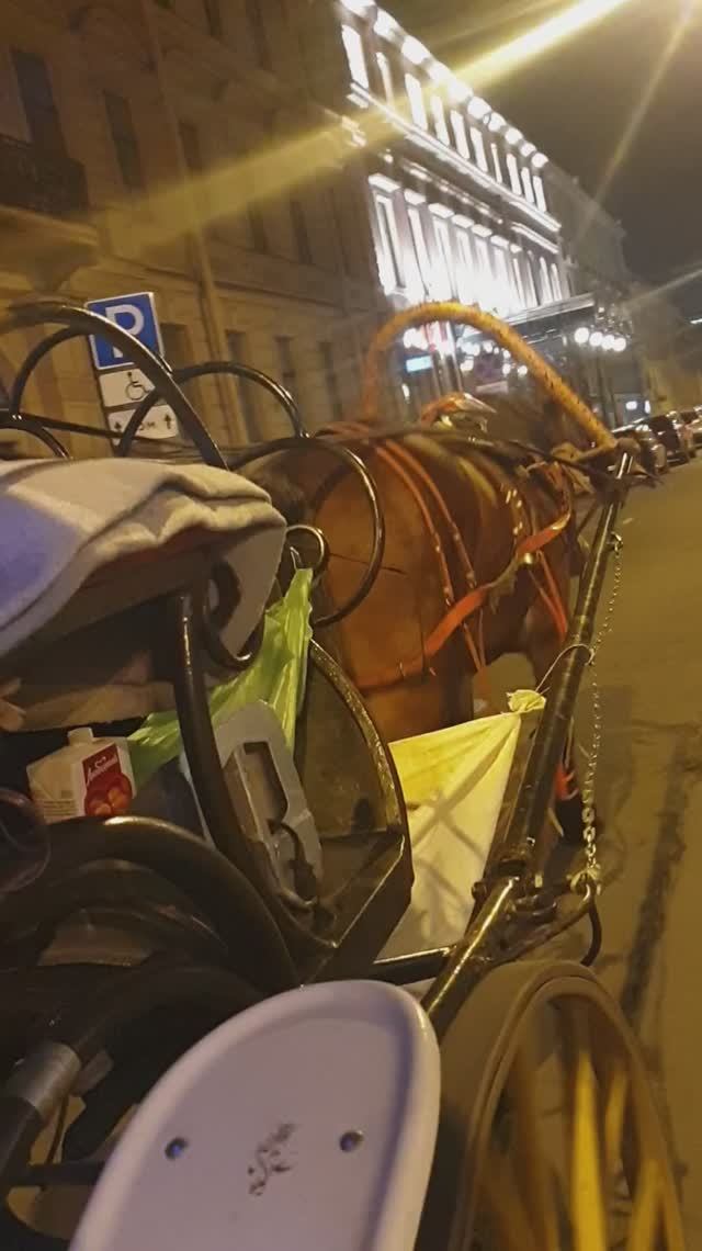На карете до отеля, Питер 😁