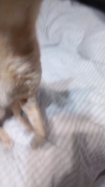 1000108307.mp4