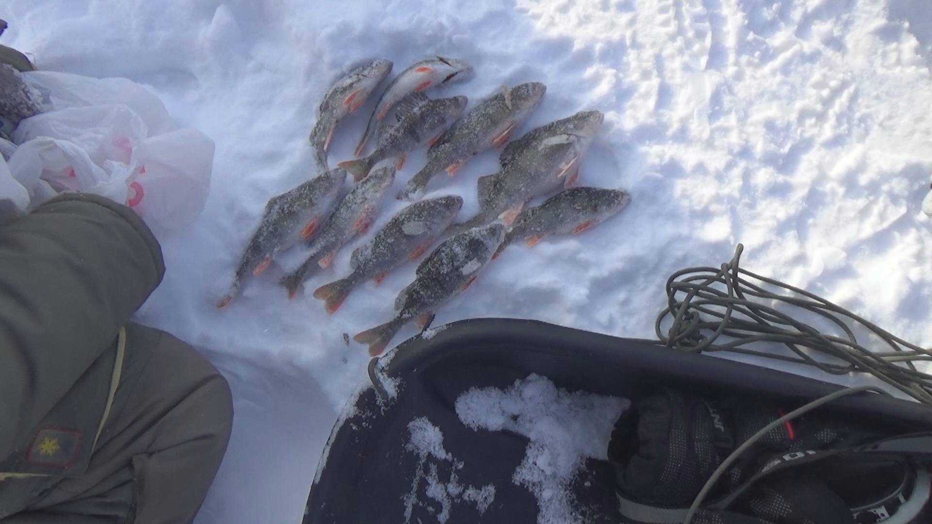 "Рыбацкие байки" 14.03.2025