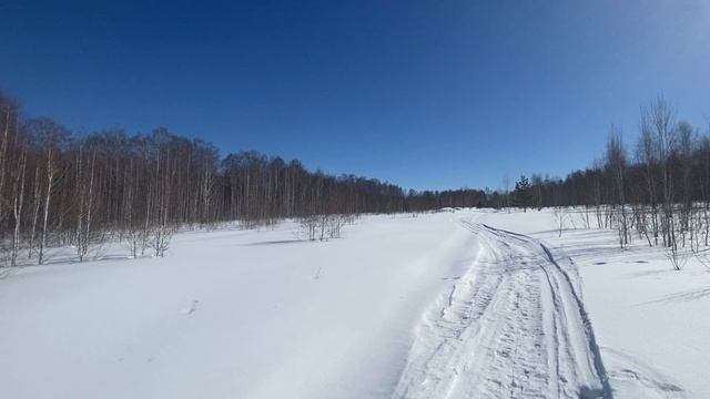 1участок