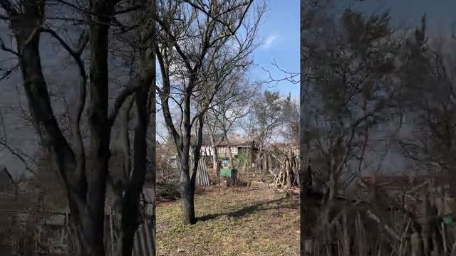 Уборка территории и обрезка деревьев ч.2