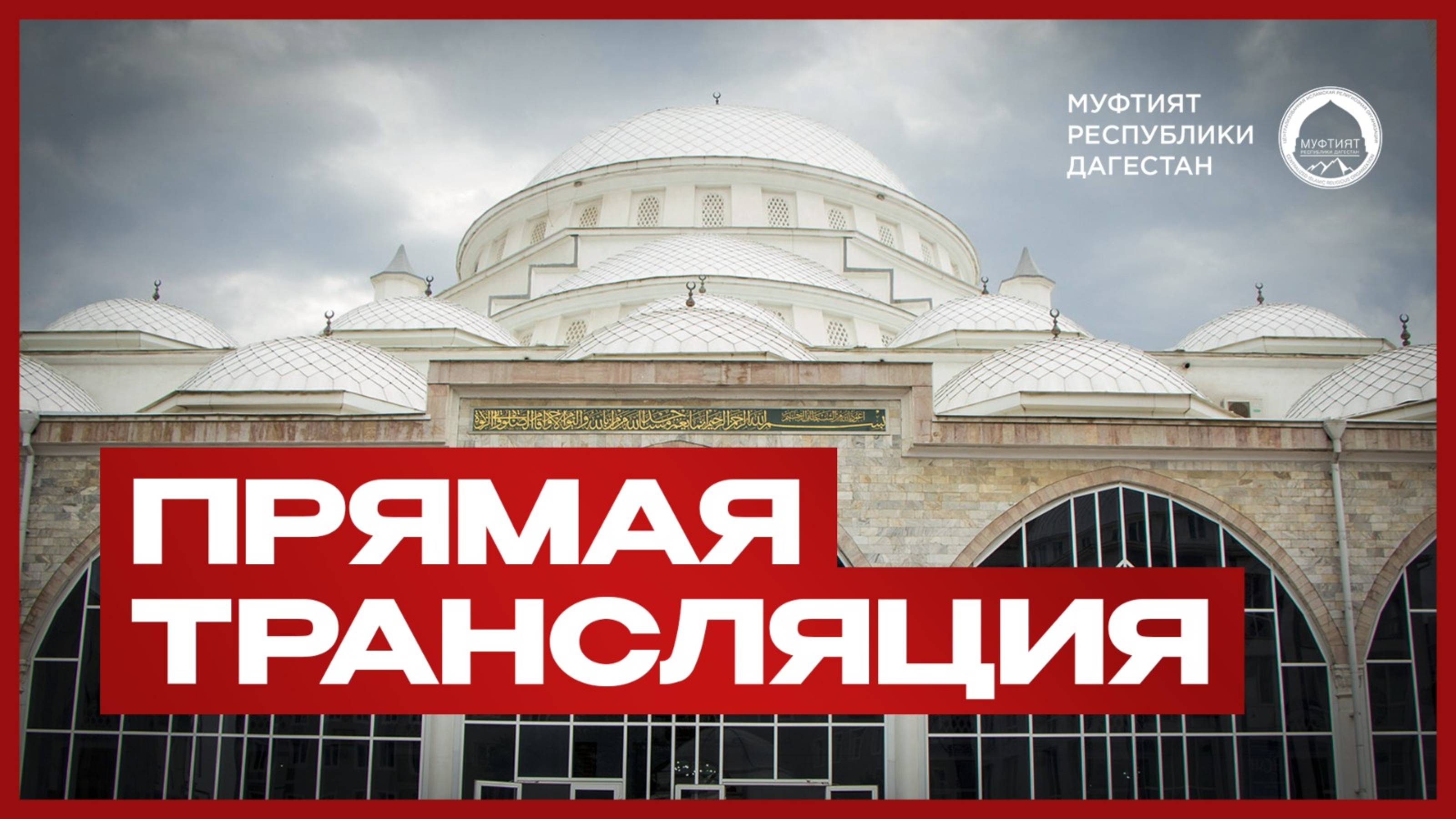 ПРЯМАЯ ТРАНСЛЯЦИЯ