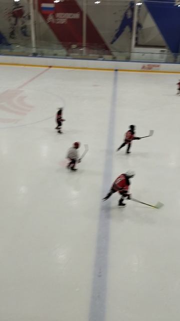 хоккей 🏒