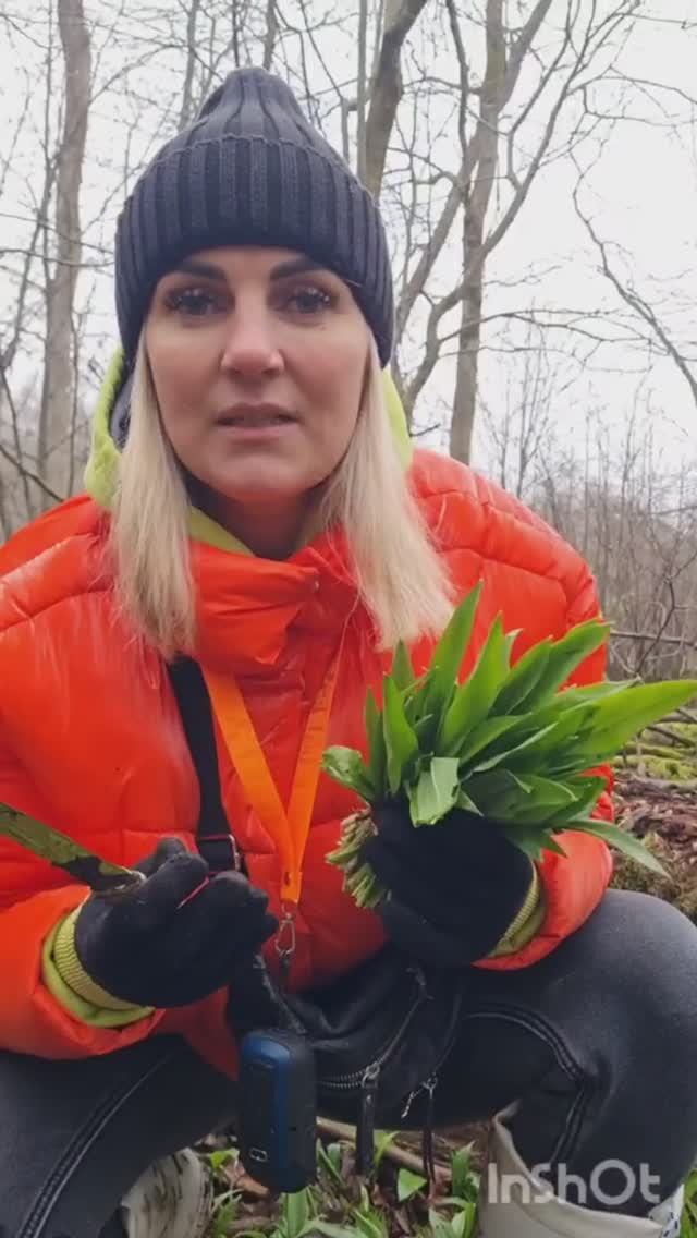 песто из ЧЕРЕМШИ. Рецепты ГРИБНИКОВ из весеннего леса.
