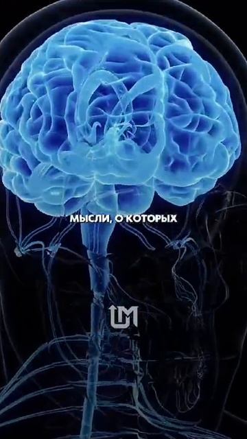 это интересно