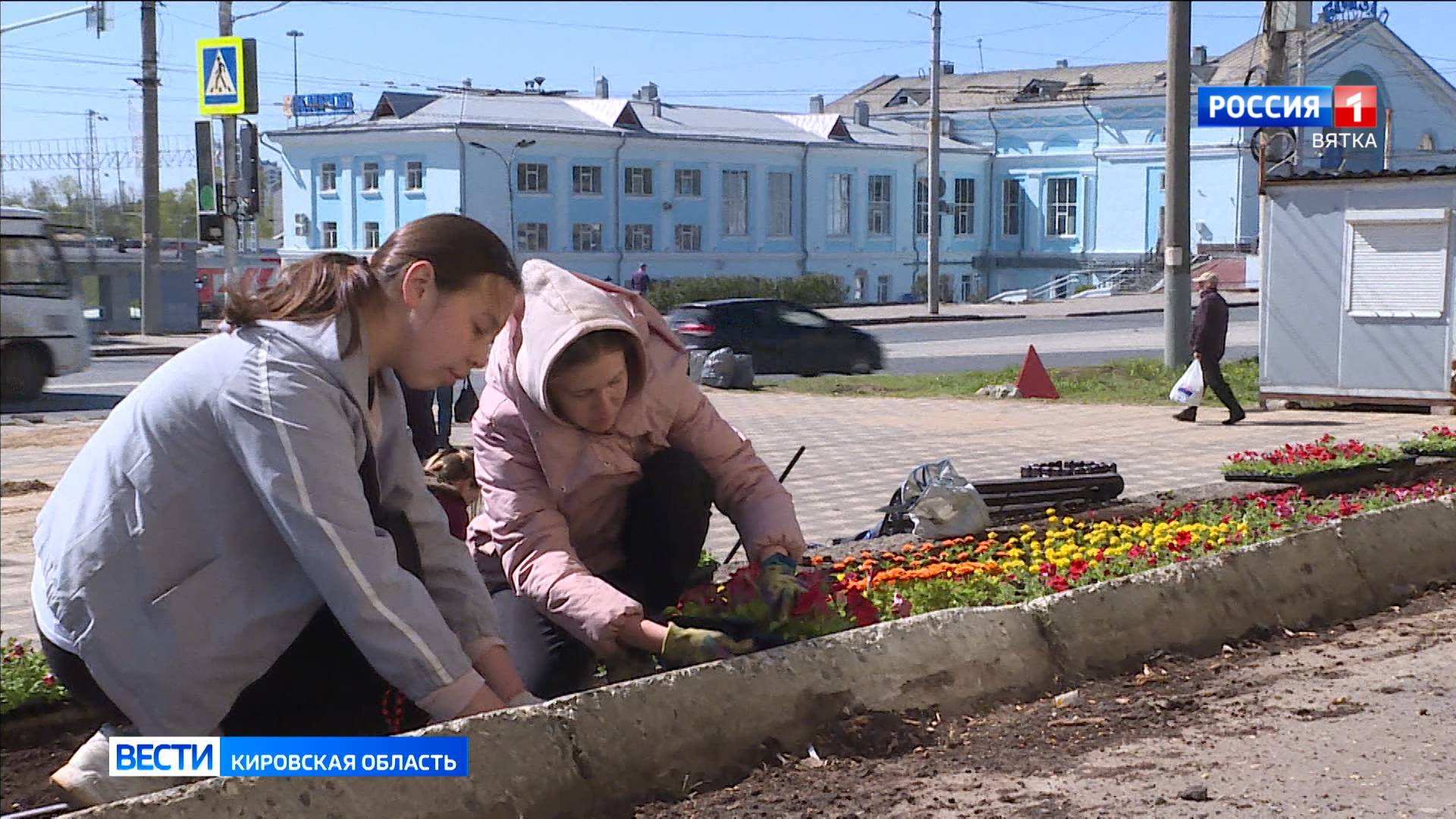 В Кирове сменят приоритеты с однолетних цветов на многолетники