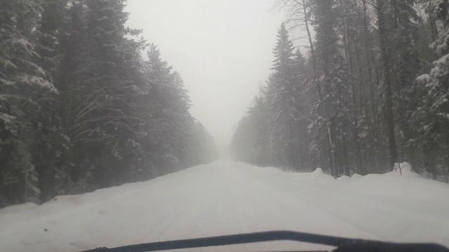 14 марта 2025 год вот это весна в России Карелии)) Или дороги которые не чистят