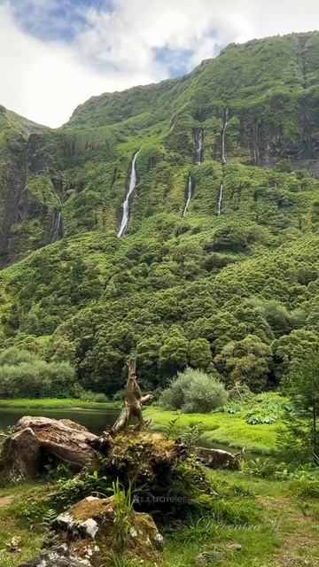 Посчо да Рибейра ду Феррейру: Природное Чудо Азорских Островов 🌊🍃