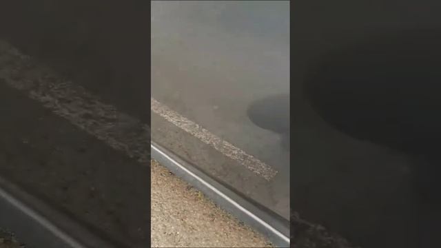VID-20250314-WA0001