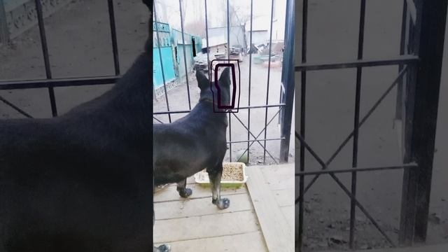 видео просто бомба 🧨 👍🐶🐶🐶🐶🐶🐶🐶🐶🐶🐶🐶🐶🐶🐶🐶🐶🐶🐶🐶🐶🐶🐶🐶🐶🐶🐶😆😆😆😆😆😆😆😆😆😆😆😆