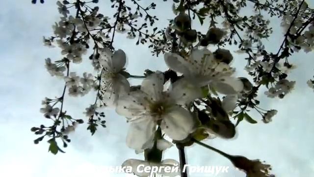 СБОРНИК МУЗЫКИ ХОРОШЕГО НАСТРОЕНИЯ  #10 Музыка Сергей Грищук  #МУЗЫКА   #КРАСИВАЯМУЗЫКА
