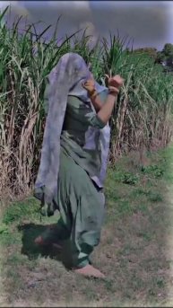 Auntie's Dance Party