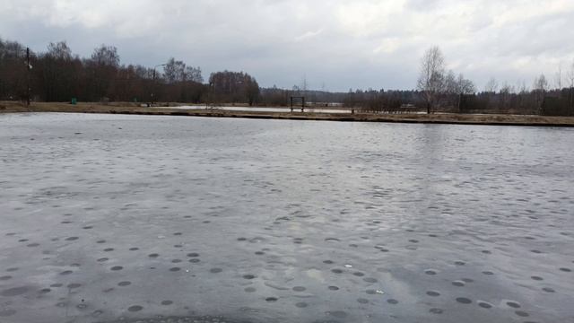 Обзор водоёма РК "Фишка" Петряиха