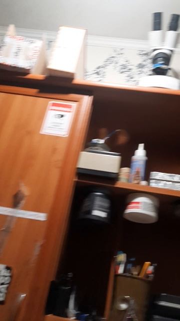 Маша звезда, теперь в моей мастерской. 4