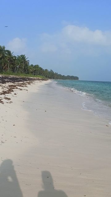 латинская Америка