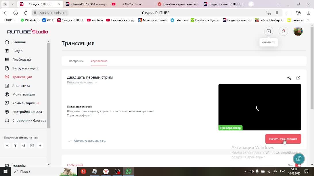Двадцать первый стрим